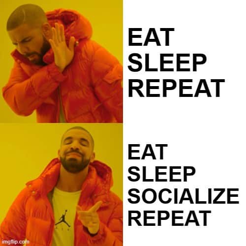 9 New Apps to Socialize with Friends