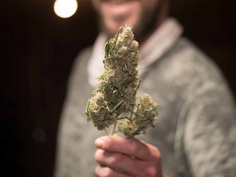 OG Kush Marijuana Flower