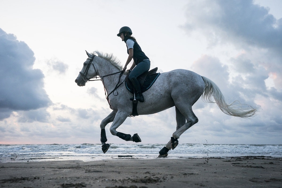 A Quick Beginners Guide to Learning to Ride Horses