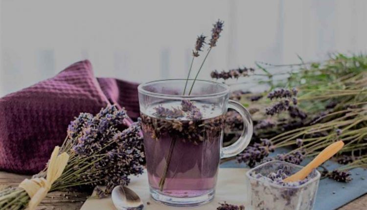 Lavender Tea