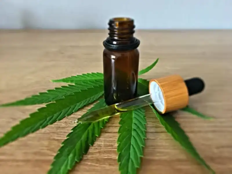 Top 5 CBD Advantages You Must Know