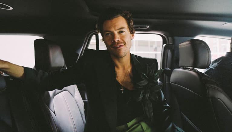Every detail you need to know about Harry Styles - The Tiger News