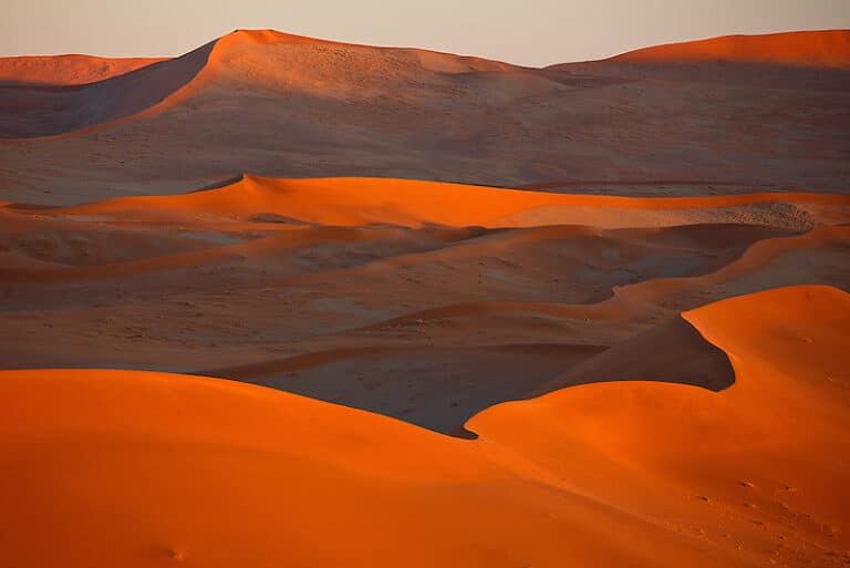 The Beauty in Artistic Simplicity