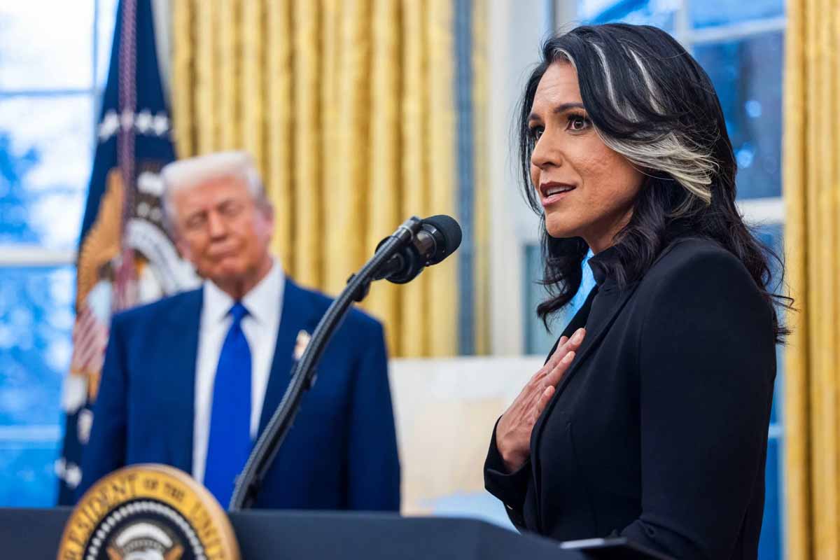 Tulsi Gabbard career