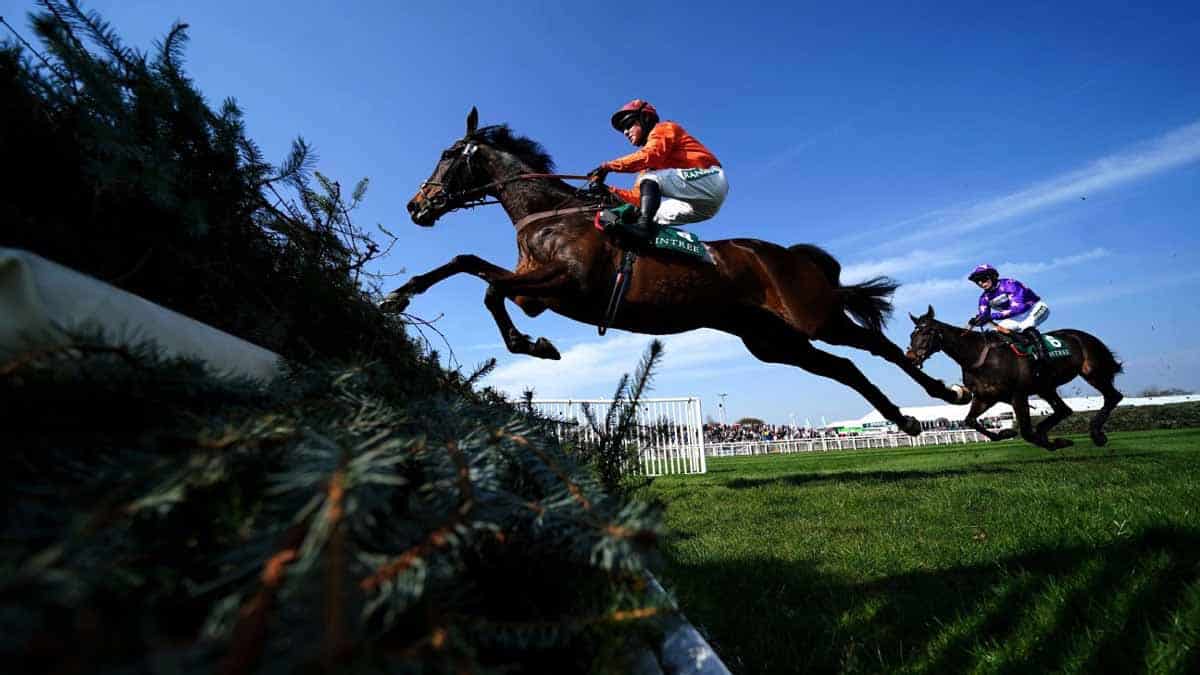 2025 Grand National, Key runners, odds, and predictions.