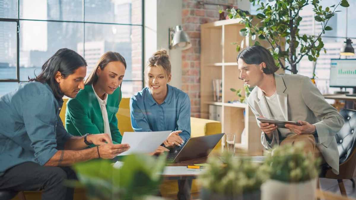 SEO Consultant Brings to the Table