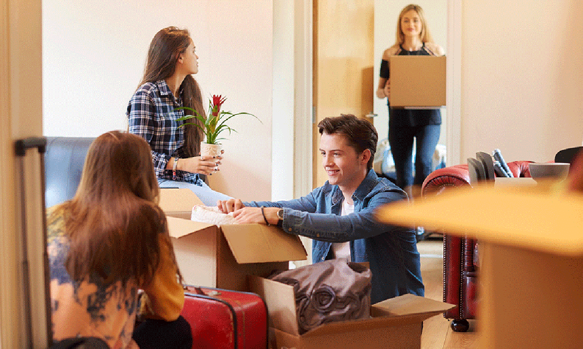 Student Apartment Choices