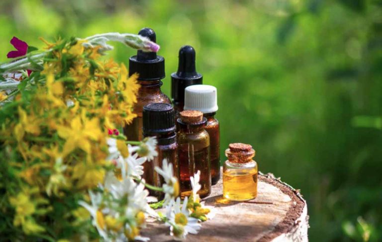 Embrace Freedom: Elevated Wellness Starts Here