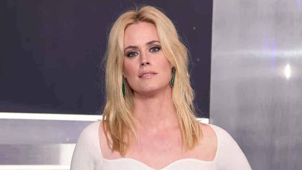 Abigail Hawk Net Worth