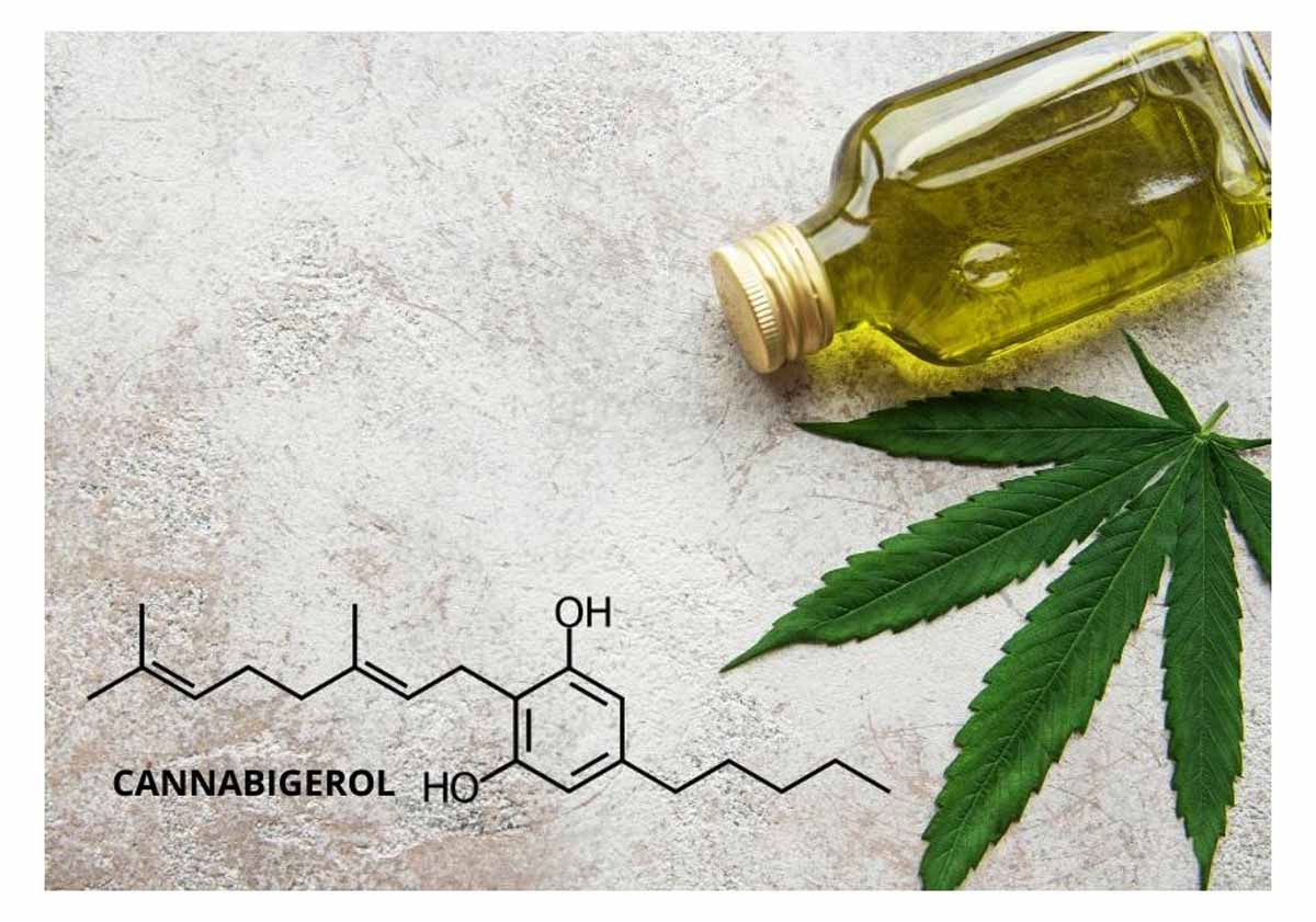 Pure Cannabigerol: How This Natural Compound Supports Vitality 1 Pure Cannabigerol, How This Natural Compound Supports Vitality